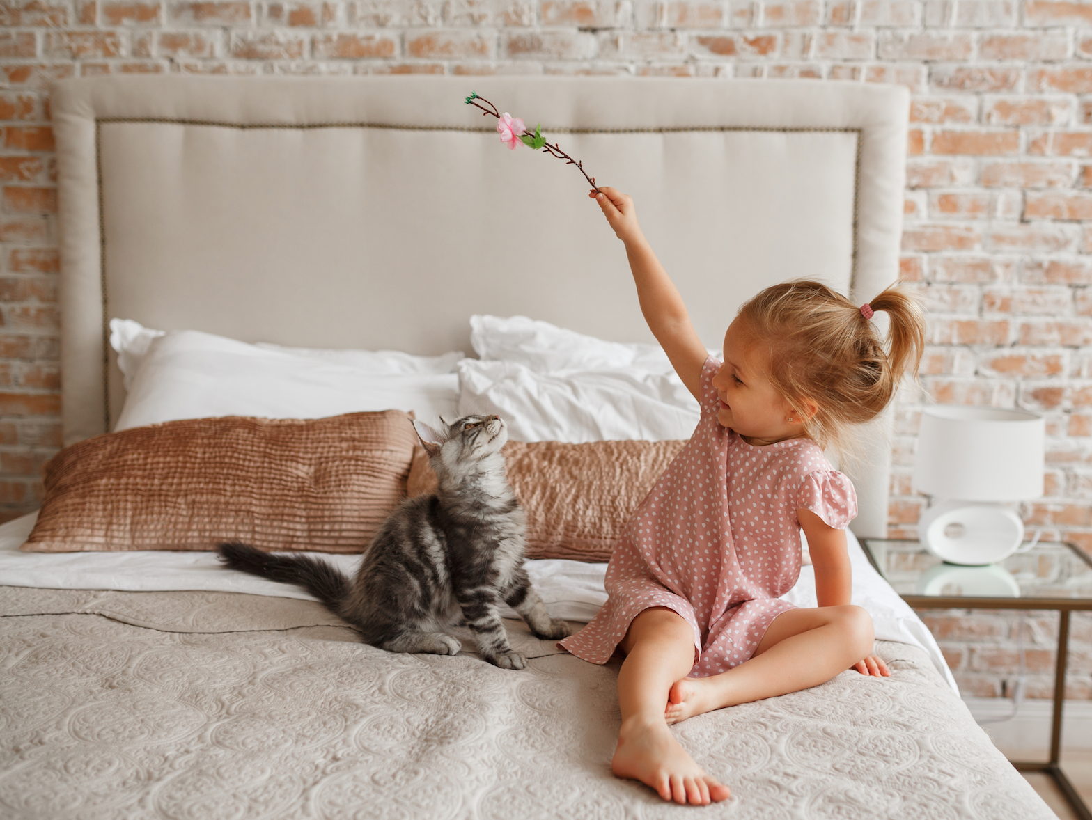 Детки играют с кисками. Кошка для детей. Маленькая девочка с кошкой. Ребенок играет с котом. Девочка играет с кошкой.