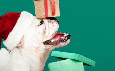 Holiday Gifts For Your Pets
