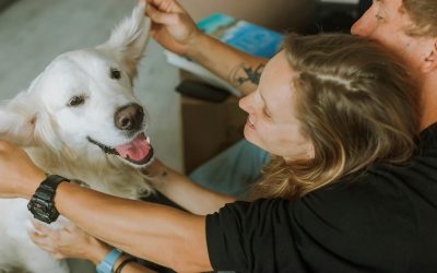 How to Prepare Your Pet for Travel (Step-by-Step Guide for 2026)