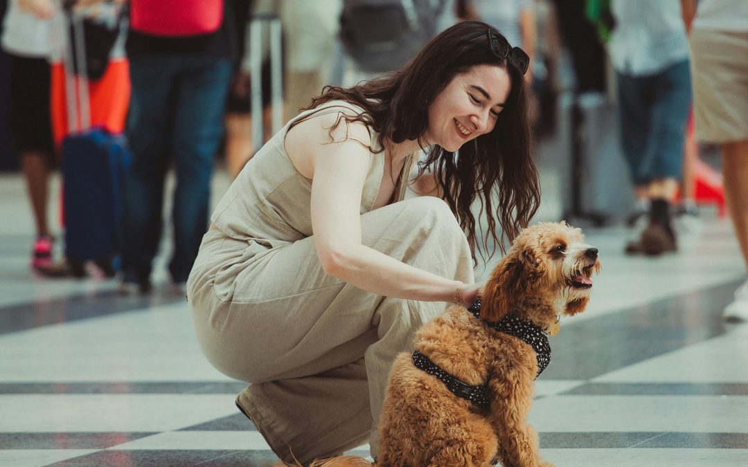 What Happens at the Airport After You Drop Off Your Pet?