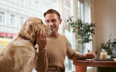 Dog-Friendly Restaurants and Trails Near Me: Pet Travel in Japan, Hong Kong & Singapore