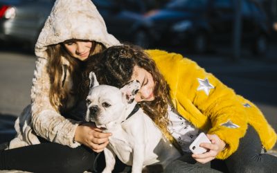 Moving From Canada to New Zealand With Your Pet