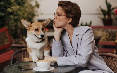 Dog-Friendly Restaurants in Toronto: Where to Eat and Drink with Your Pup