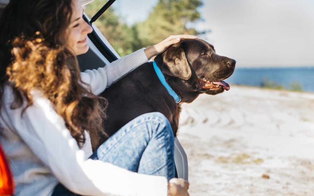 Travelling with Pets in Canada: Rules, Pet-Friendly Hotels, and Transport Options