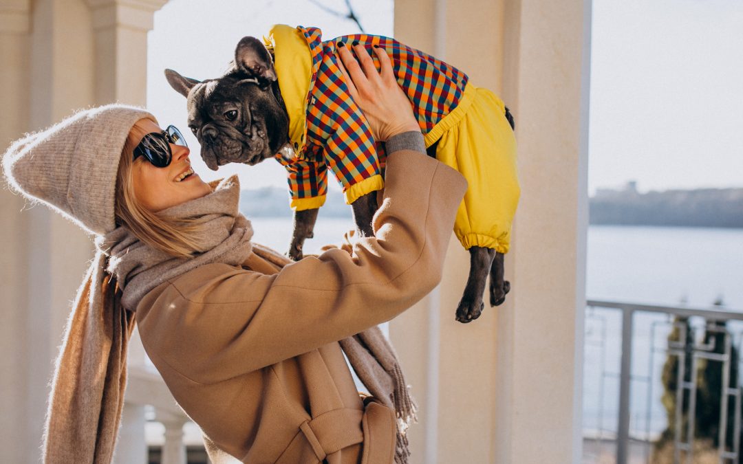 Tips for Importing Pets to Canada Safely and Comfortably