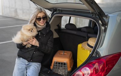 How International Pet Movers Can Make Transporting Your Pet Stress-Free