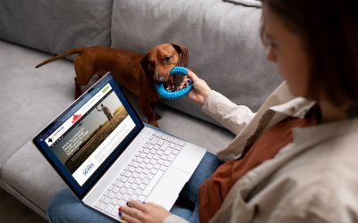Why Choosing an IPATA Agent Matters for Your Pet’s Next Move