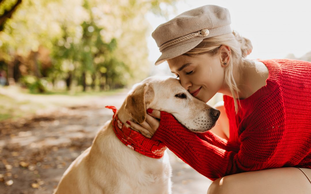 Canada worldwide pet services ensuring safe, stress-free holiday travel for pets during international relocations.