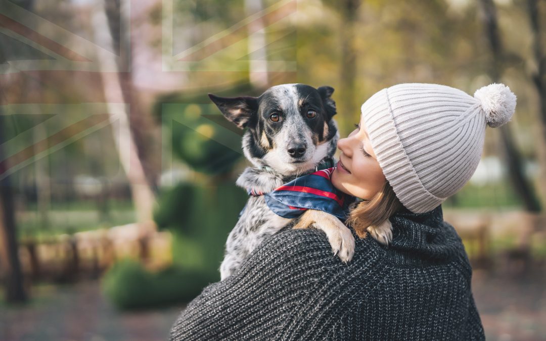 Things to have in place before relocating your pet to the UK