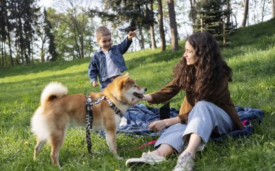 Vancouver’s Best Dog-Friendly Parks: Tips for Safe, Fun Outdoor Adventures
