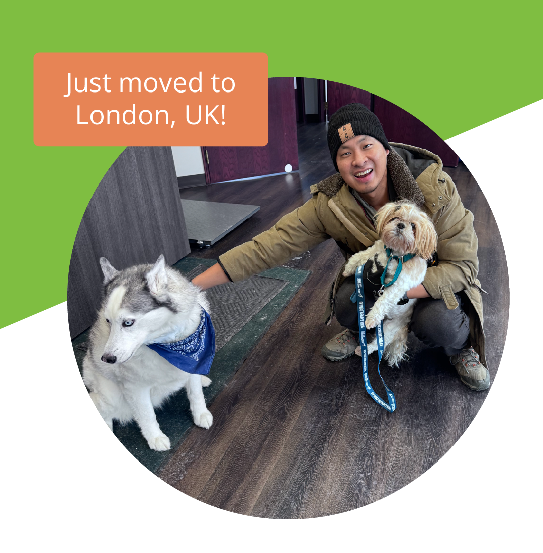Pet owner with two dogs after moving to London, UK