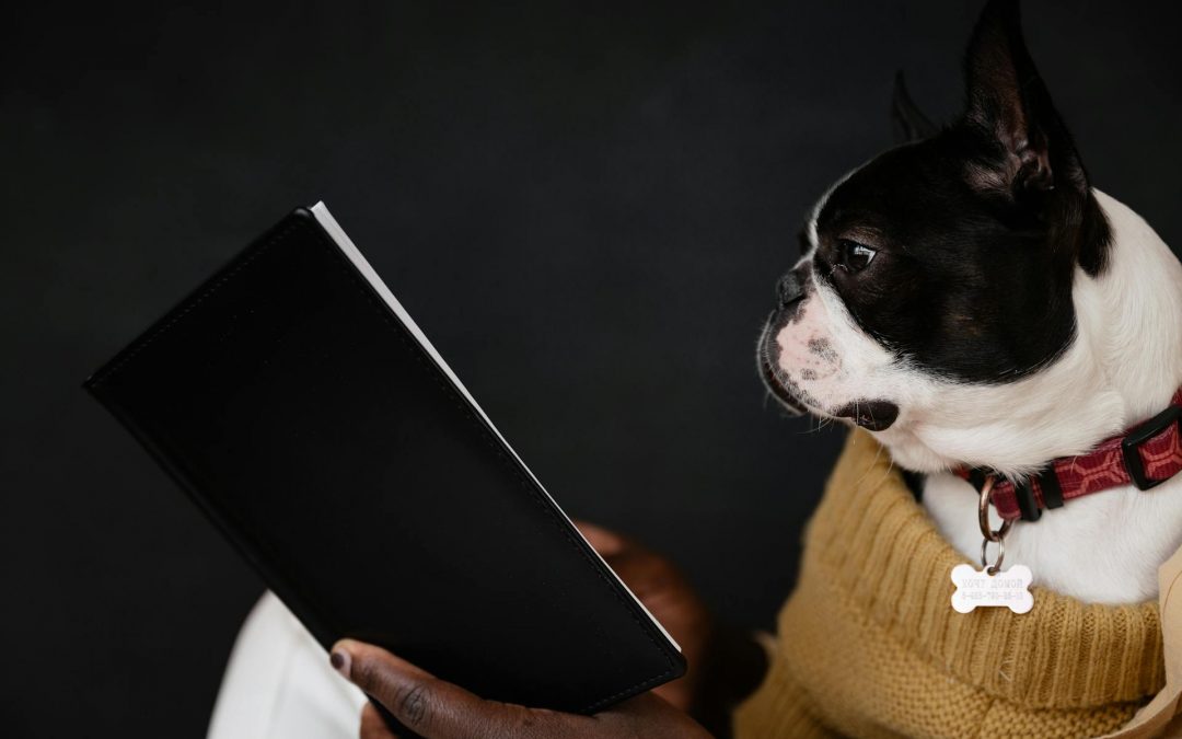 What’s The Best Time Of The Year To Relocate Your Pet?