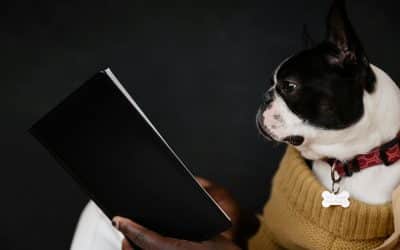 What’s The Best Time Of The Year To Relocate Your Pet?